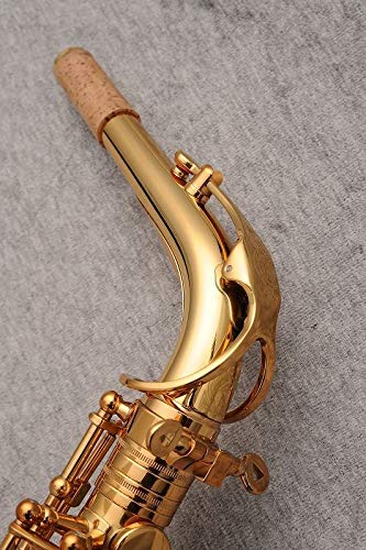 Amazon | Cannonball キャノンボール アルトサクソフォン Sceptyr Semi
